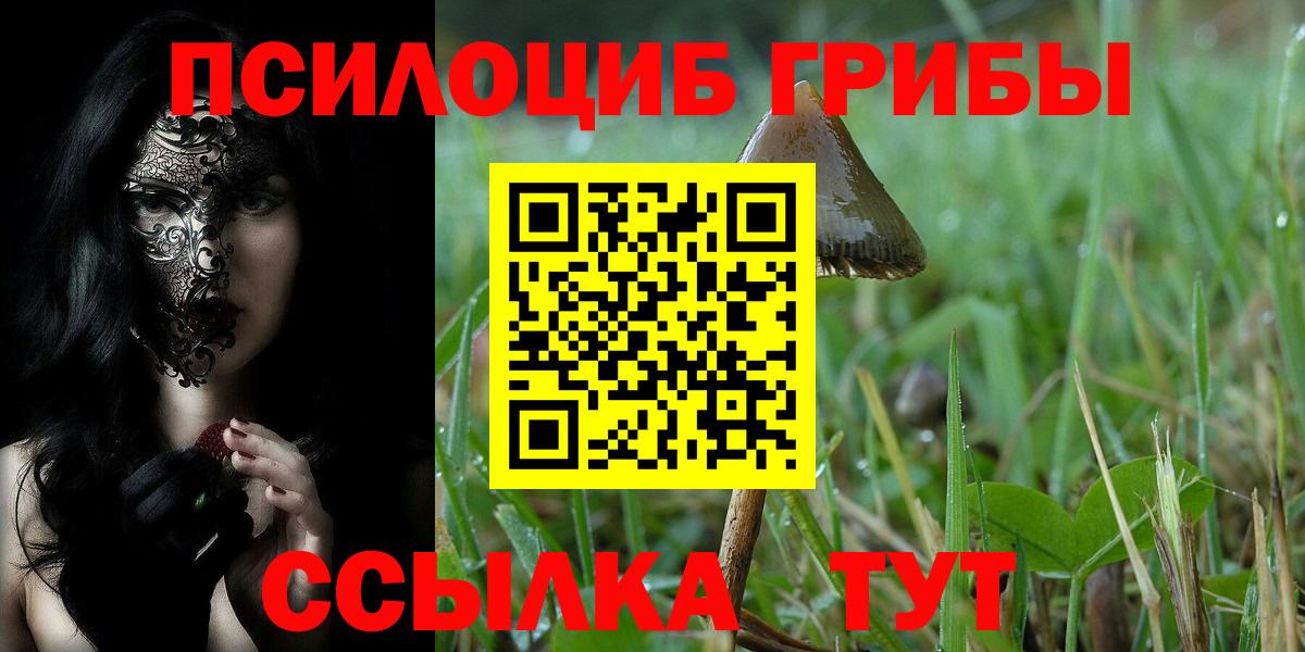 Псилоцибиновые грибы Magic Shrooms Ипатово