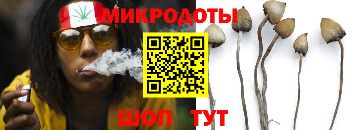 Псилоцибиновые грибы Cubensis  Вход с VPN  Ипатово  Псилоцибиновые грибы MAGIC MUSHROOMS 